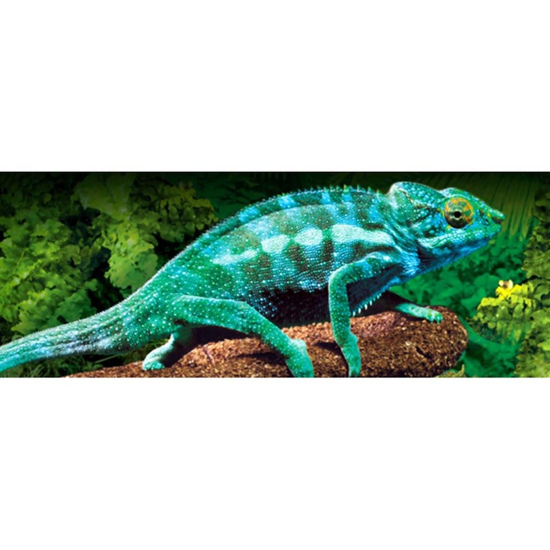 Exo Terra Exo Terra Electrolyte & Vitamin D3 Supplement, 120