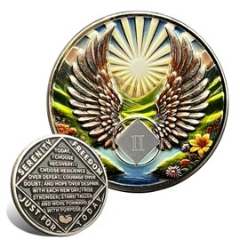 Leafence Recovery and Resilience Commemorative Sobriety Coin Recovery Addiction and Medallions Challenge Coin Narcotics Alcoholics Anonymous (Flying with Wings, 2 Years)
