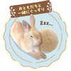 Mini Animan Tachi Ears Rabbit Ball