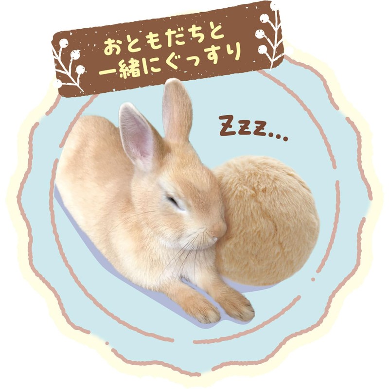 Mini Animan Tachi Ears Rabbit Ball