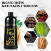 Shampoo Para Canas 500ml Natural Jengibre Tinte Cubre Canas
