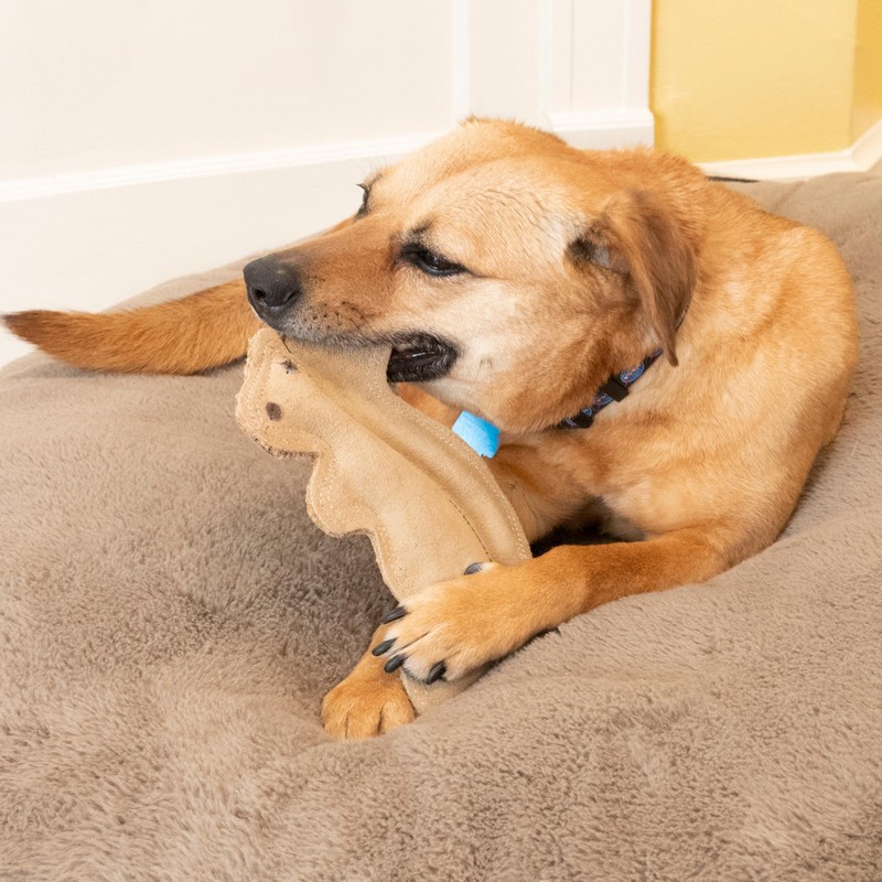 SPOT Dura-Fused Leather Squirrel Dog Toy – Real Leather &