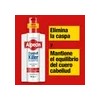 Shampoo Alpecin Dandruff Killer 250 Ml Unisex Elimina y Previene