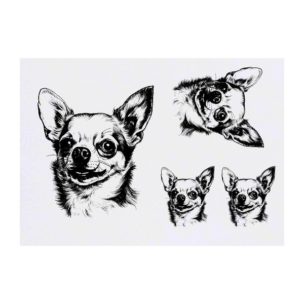 4 x 'chihuahua' Temporary Tattoos - Water Resistant, Skin-Safe, Non-Toxic
