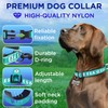 TECEUM Reflective Pet Collar – Teal - ESA – XS
