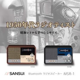 Sansui Bluetooth Speaker with AM/FM Radio, Black