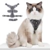 Puppy Harness,Cat Harness and Lead Set,No Pull Dog Cat Harness,Soft