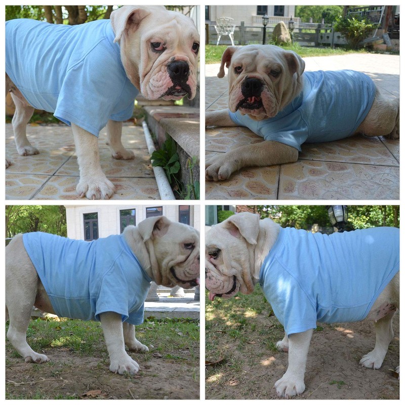Lovelonglong Pet Clothing Dog Costumes Basic Blank T-Shirt Tee Shirts