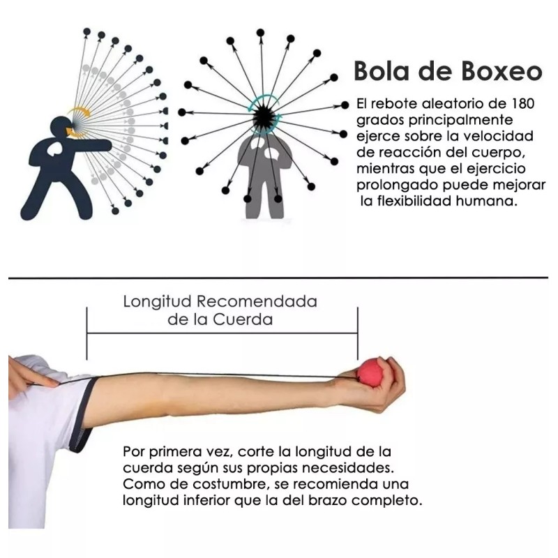 HomeChi Pelota De Entrenamiento De Velocidad De Reacción Para Boxeo