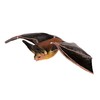 Toob "Safari Incredible Creatures Townsend's Big-Eared Bat Miniature (Multi-Colour)