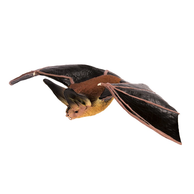 Toob "Safari Incredible Creatures Townsend's Big-Eared Bat Miniature (Multi-Colour)