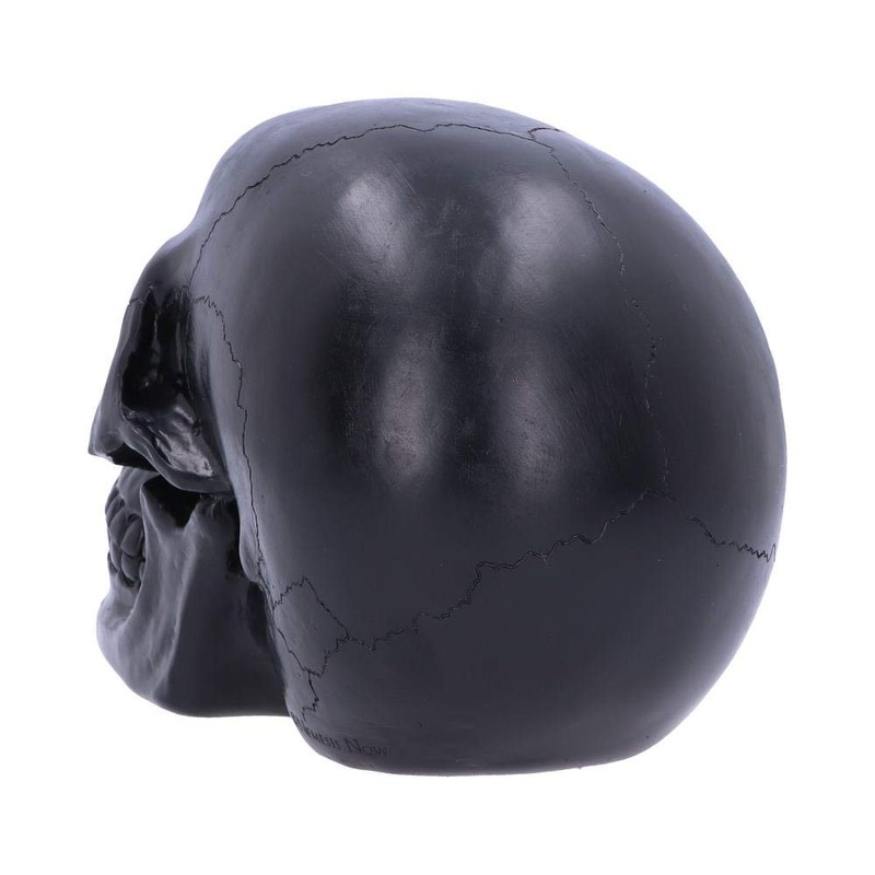 Nemesis Now Horror Skull Ornament Polyresin Black Green Geode 17cm