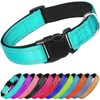 Collar Reflejante para Perro y Gato, Diseño Cómodo, Resistente. Ideal
