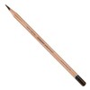 Derwent Lightfast Pencil - Autumn Brown