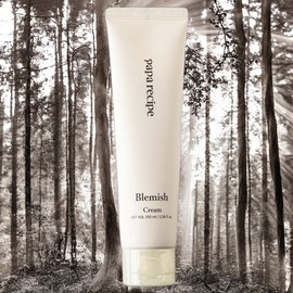 Papa Recipe Skin Refreshing Skin Nutrition Blemish Cream 1ea 100ml / 파파레서피 피부산뜻함 피부영양 블레미쉬 크림 1개 100ml