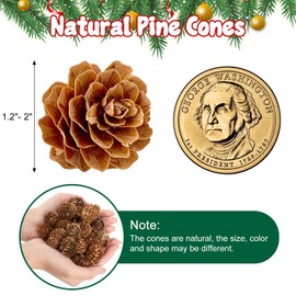 150 Pcs Christmas Natural Mini Pine Cones, 1.2"- 2" Small Pinecones Ornaments for DIY Crafts, Vase Fillers, Fall and Xmas Decorations, Wedding Decor