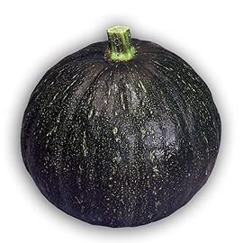 Squash Seeds - Japanese, Winter - Tetsukabuto - Hybrid - 2 g Packet ~12 Seeds - Non-GMO, F1 Hybrid - Asian Garden Vegetable