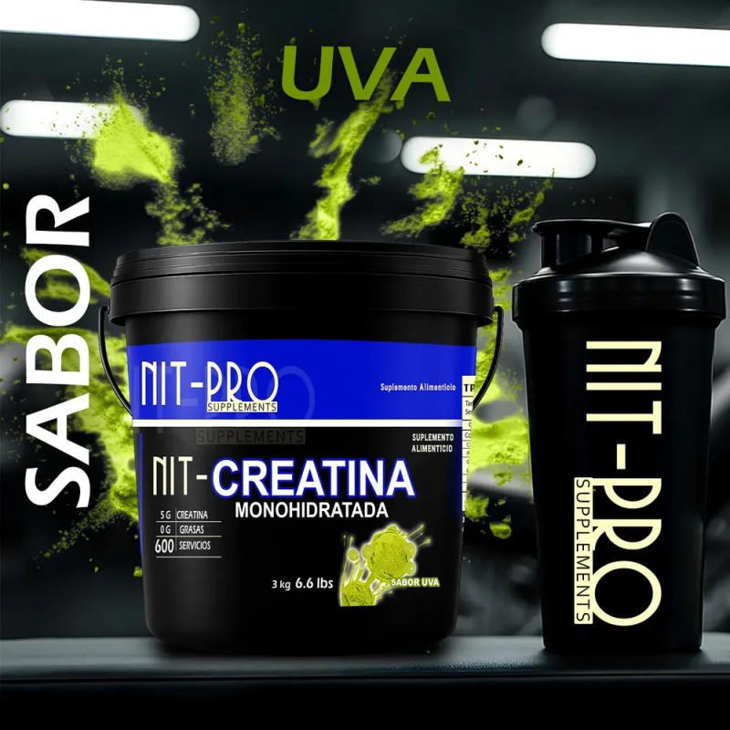 Creatina Monohidratada Alta Pureza Polvo Nit-pro 3kg 600ser