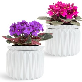 Thriving Thicket 6 inch Self Watering Pot for Indoor Plants, African Violet Pot Ceramic, Flowers Planter (4 inch Opening), Holds 3 Weeks of Water (2 Pack White)