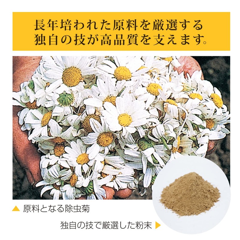 紀陽除虫菊 夕顔プレミアム蚊とり線香4巻線香立て具 1枚入り防除用医薬部外品