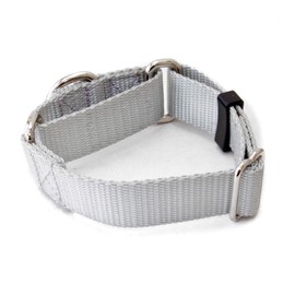 Dog Collar - 1 Inch Width Martingale Collar - Heavy Duty Nylon (1" Width Dog Collars (Silver Gray, X-Small)