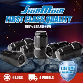 JiiinMiiin 16PCS M10x1.25 ATV Lug Nuts, Closed End 6 Spline 10x1.25 Lugnuts, 60 Degree Cone/Acorn Seat with 1 Socket Key, Black
