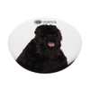 AKC Black Russian Terrier Photo PopSocket