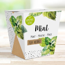 Homemade Herb Kit – All-in-One Tea Mint – Indoor Garden Planter - Grow Your own Tea Herbs – Live Seeds Ready to Plant – Pleasantly Scented