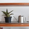 Dulton Stainless Steel Pitcher, Silver, Height 3.7 x Width 6.9