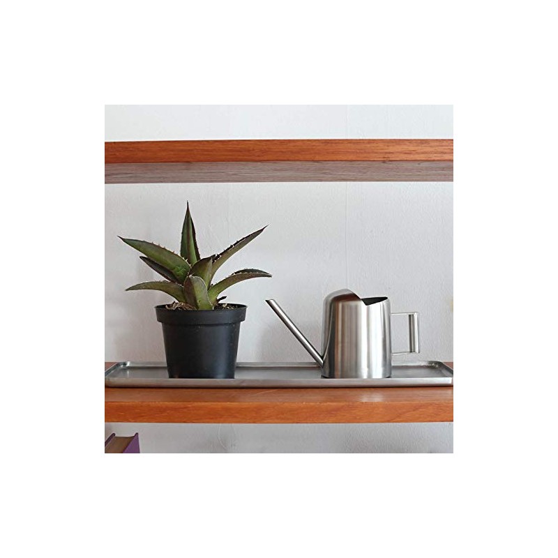 Dulton Stainless Steel Pitcher, Silver, Height 3.7 x Width 6.9