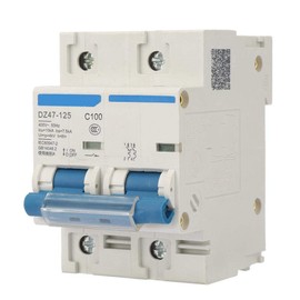 Current Circuit Breaker, DZ47-125 2P Current Miniature Circuit Breaker 400V 80/100/125A Leakage Protection Switch Supplemental Protection(100A)