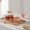 CnGlass Glass Teapot Stovetop Safe,30.4oz Clear Tea pot with Removable