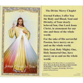 +Holy Card-"Divine Mercy Chaplet" (Jesus I Trust In You) *Prayer-  (HC11-S1}