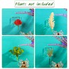 Jetec 24 Pcs Acrylic Air Plants Holder Hanger with Mounting