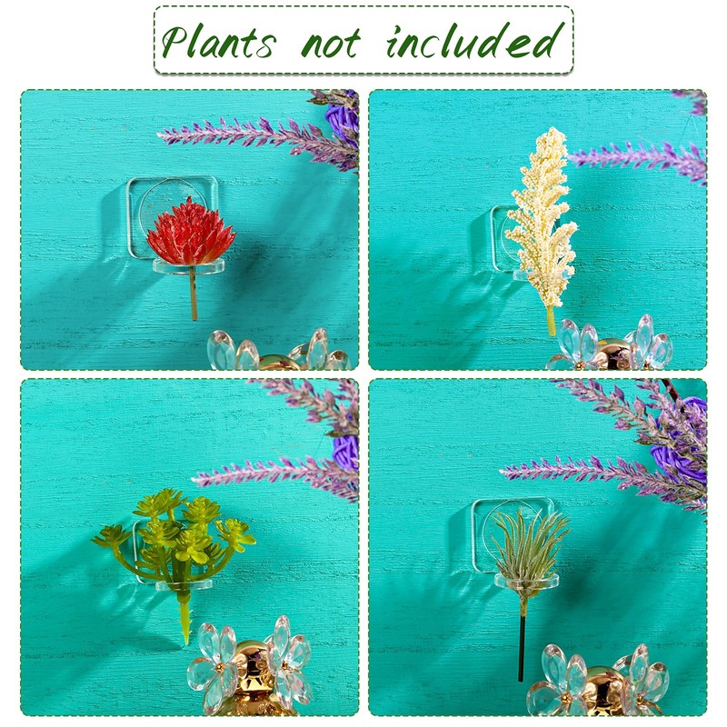 Jetec 24 Pcs Acrylic Air Plants Holder Hanger with Mounting