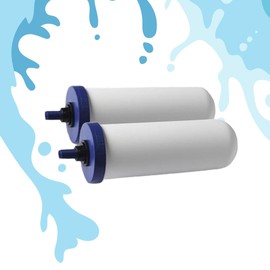 Coldstream FTO Plus Water Filter Cartridge (2 Pack) - Dependable for Easy Installation as a Berkey Replacement - Ceramic Gravity Filter For Stainless Steel Systems
