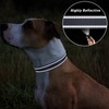 TagME Reflective Nylon Dog Collars, Adjustable Classic Dog Collar with