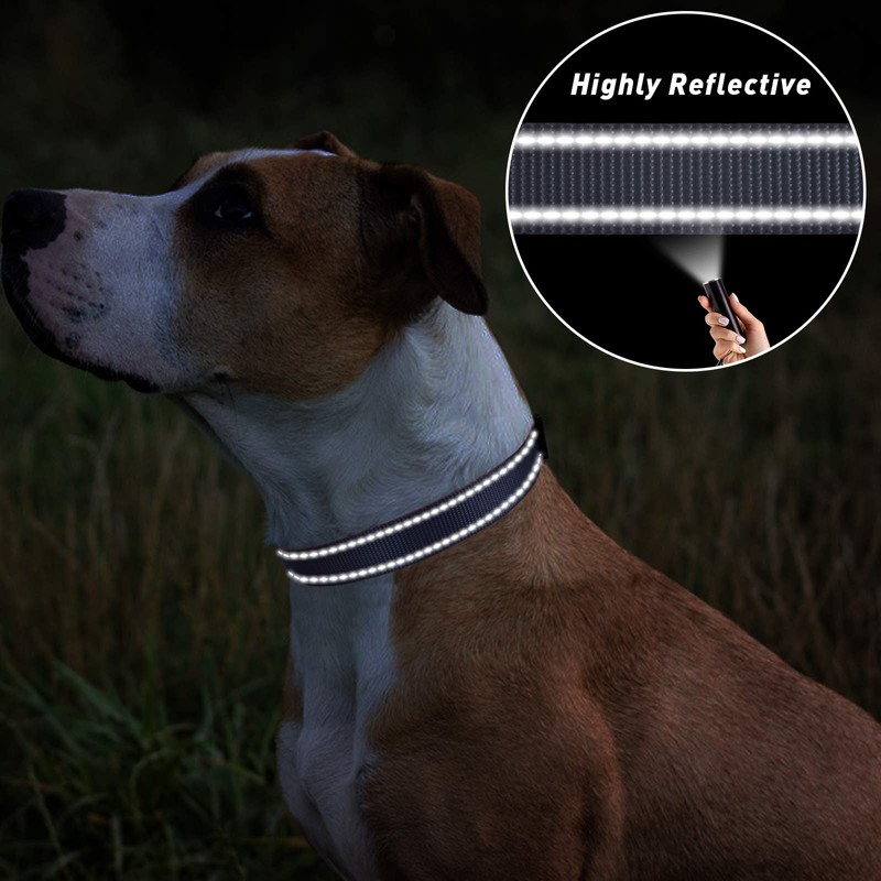 TagME Reflective Nylon Dog Collars, Adjustable Classic Dog Collar with