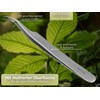 Premium Tick Tweezers Stainless Steel with Storage Case