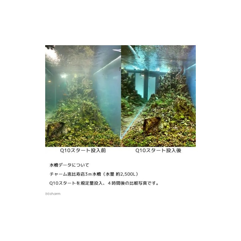 Fish and Shrimp Friendly Chalki Removal Q10 Start for Freshwater