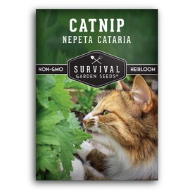 Catnip Seed for Planting - Packet with Instructions to Plant & Grow Herbs for Your Cat Indoors or Outdoors in Your Home Vegetable Garden - Non-GMO Heirloom Variety - Survival Garden Seeds