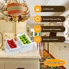 flexman Pack of 3 Fruit Storage Containers, Transparent, Non-Safe Drain
