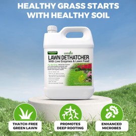 Covington Liquid Lawn Dethatcher (32oz) – Liquid Aerator Concentrate & Humic Thatch Remover, Soil Softener & Grass Thatch Buster for Lawns & Gardens – Kids & Pet Safe, Made in USA