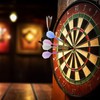 SSKHE 12pcs Dart Flights and Stems Integrated as One, Durable