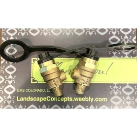 Wilkins 2-Pack (2) 1/8" x 1/4" NPT Test Cock Backflow Preventer Ported Valve PVB