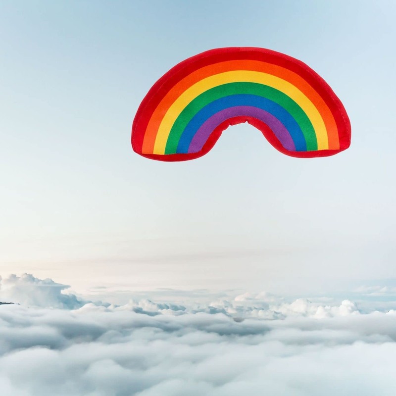 Out of the blue Rainbow Cushion