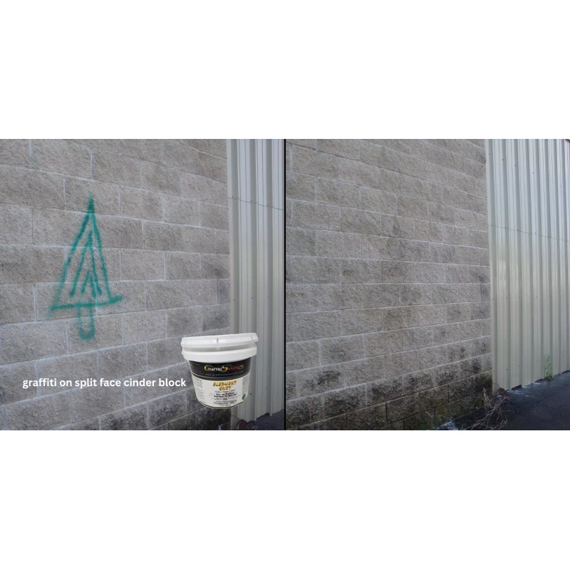 Graffiti Solutions - Elephant Snot Graffiti Remover - 1 Quart