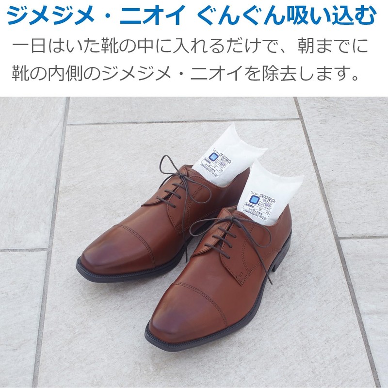 ドライペット 除湿剤 スピード吸湿 くつ用 くりかえし再生タイプ 2枚入(1足分) 靴 湿気取り