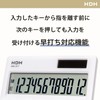Hodogaya Electronics Sales 85191 Calculator, 12 Digit Practical Calculator, Fast