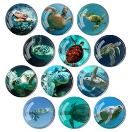 Glass Strong Animals Refrigerator Magnets,12 Pcs Decorative Magnets for Fridge Lovely Decor for Home Kitchen Office Whiteboard (Turtle Refrigerator Magnet)